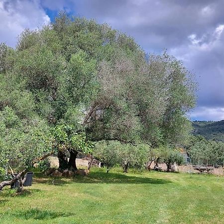 Olbia Grazioso Bilo In Periferia Villa Sole Ruiu Exterior foto