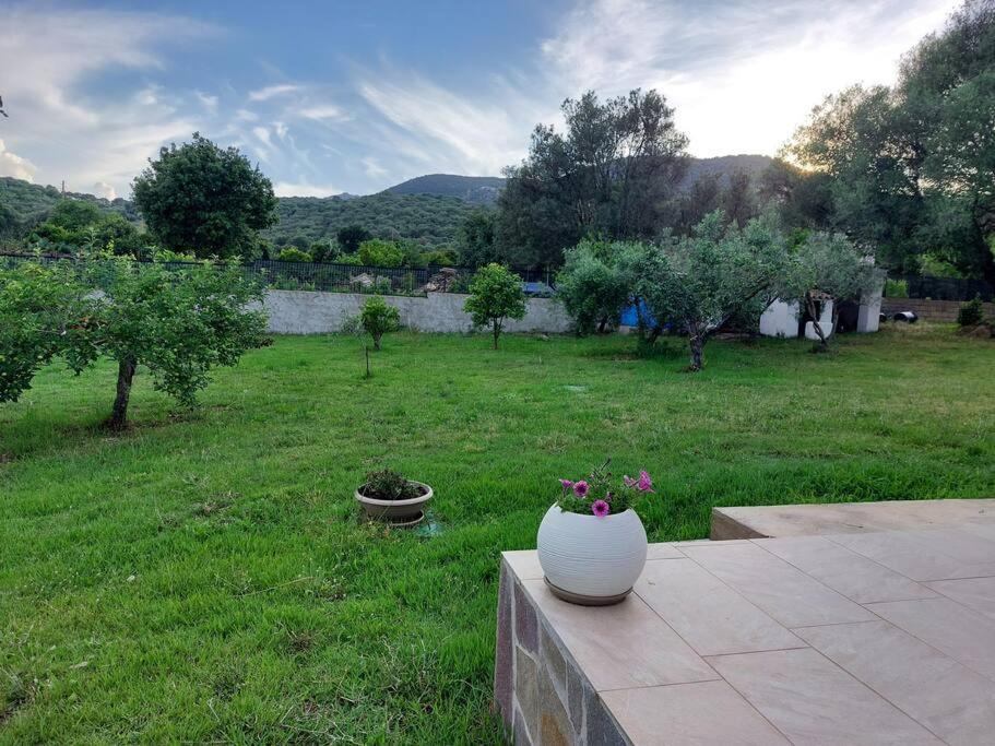 Olbia Grazioso Bilo In Periferia Villa Sole Ruiu Exterior foto