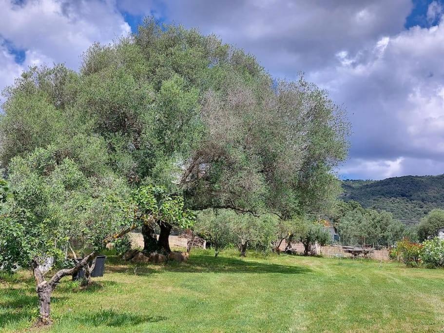 Olbia Grazioso Bilo In Periferia Villa Sole Ruiu Exterior foto